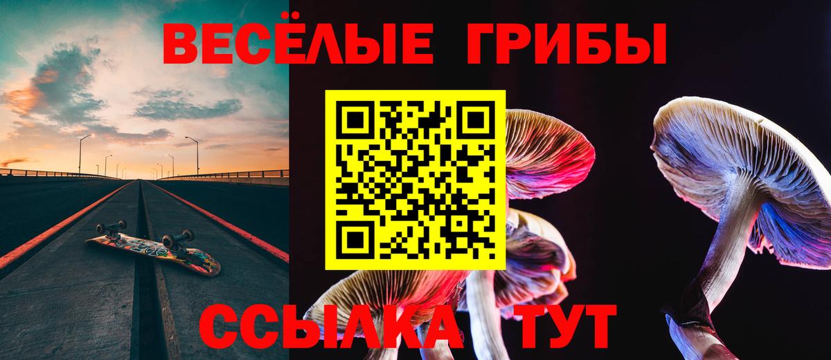 Псилоцибиновые грибы Cubensis Ликино-Дулёво