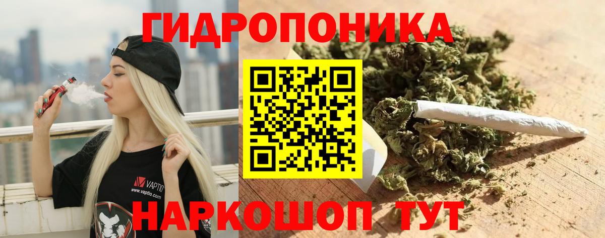 Марихуана семена  Конопля OG Kush  Каннабис гибрид  Вход с VPN  Ликино-Дулёво 